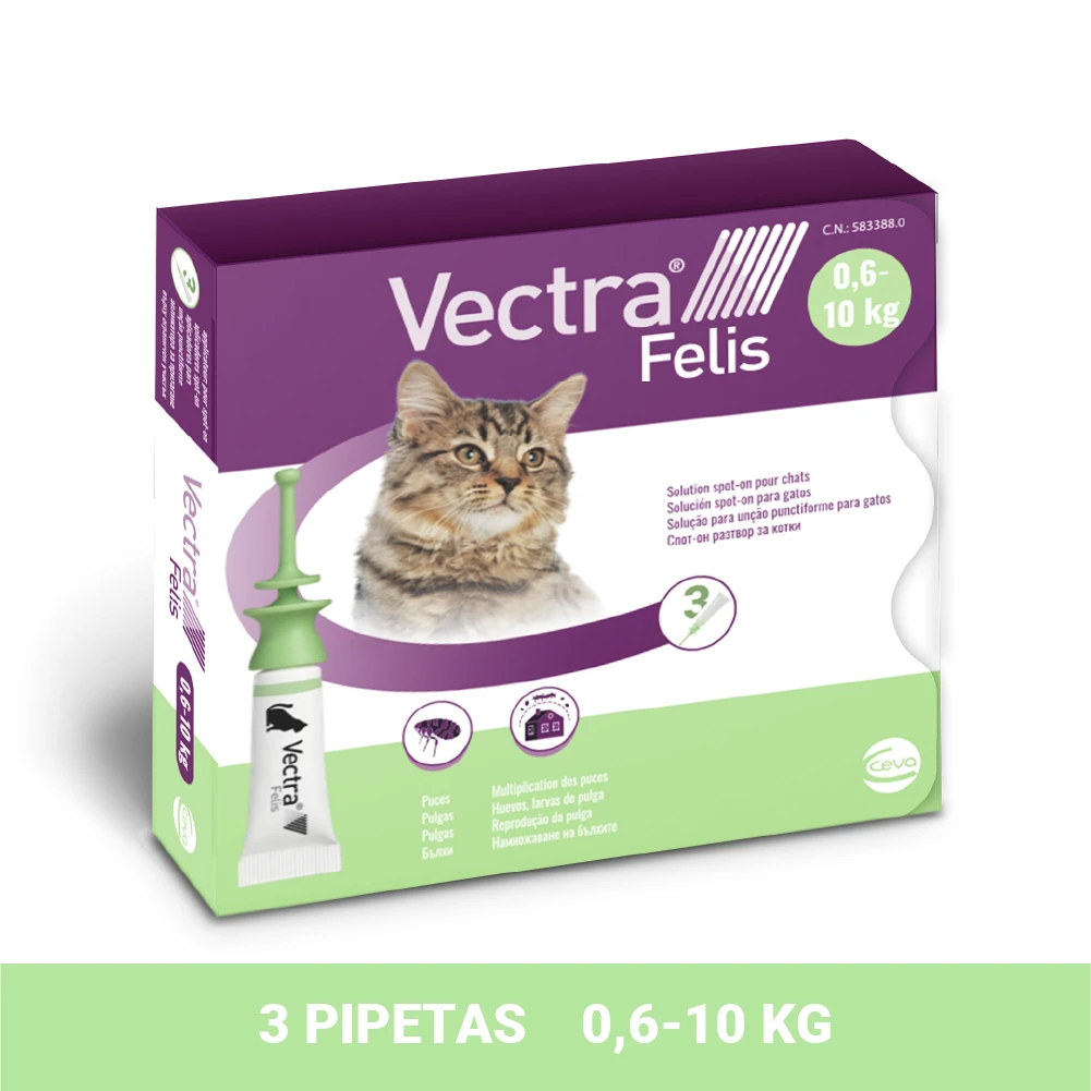 Pipetas Felis Solución Spot-On Para Gatos (42,3mg) 12 Pipetas Felis Solución Spot-On Para Gatos (42,3mg) - Imagen 10