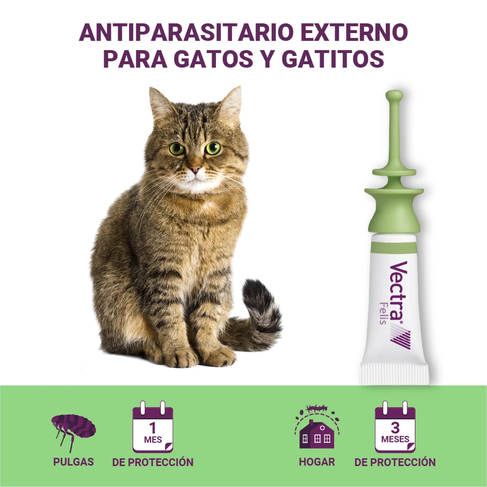 Pipetas Felis Solución Spot-On Para Gatos (42,3mg) 13 Pipetas Felis Solución Spot-On Para Gatos (42,3mg) - Imagen 11