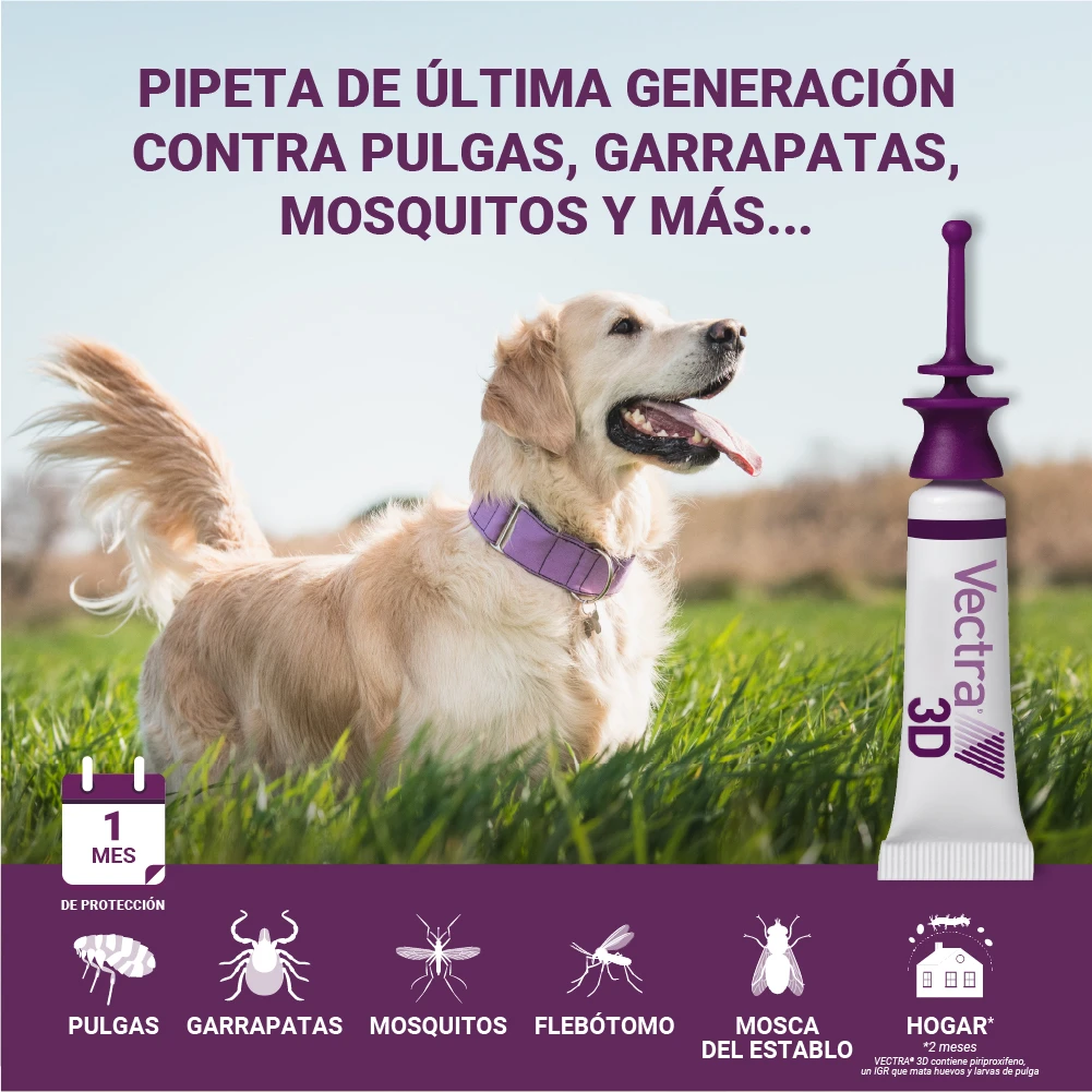 Pipetas 3D Solución Spot-On Para Perros De 25-40kg 7 Pipetas 3D Solución Spot-On Para Perros De 25-40kg - Imagen 5