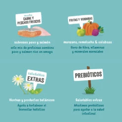 Edgard & Cooper Pack 11 Adult Tarrina Sin Cereales Con Salmón Y Trucha -Animalear Ventas 03 EdgardCooper ECommContent KeyIngredients AdultSalmonTurkeyWet 150g 62a8222dc815c