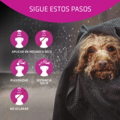 ARTERO Acondicionador Flash -Animalear Ventas 03 Pasos H634 64ec84f7387bb