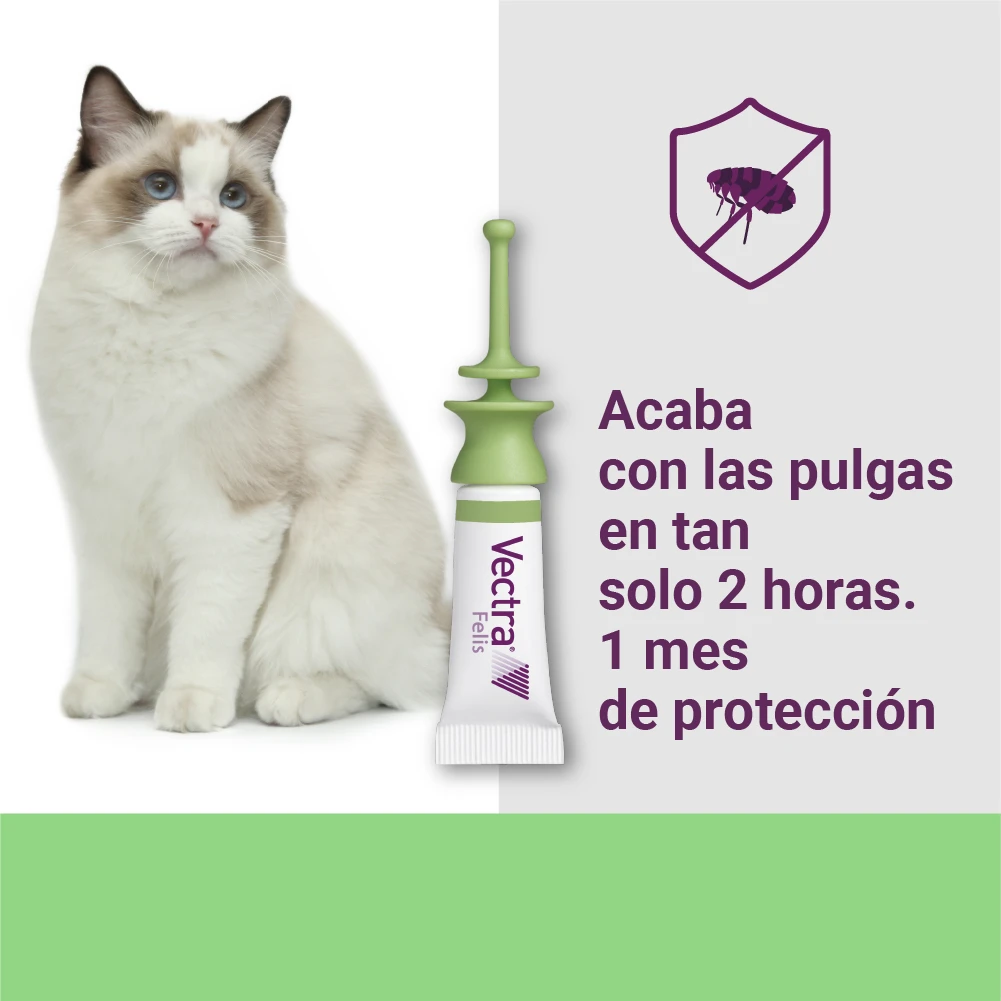 Pipetas Felis Solución Spot-On Para Gatos (42,3mg) 5 Pipetas Felis Solución Spot-On Para Gatos (42,3mg) - Imagen 3