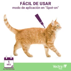 Pipetas Felis Solución Spot-On Para Gatos (42,3mg) 19 Pipetas Felis Solución Spot-On Para Gatos (42,3mg) -Animalear Ventas 05 VECTRA Felis spot on 63db9169dbf3f