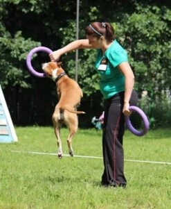 Puller 21 Puller -Animalear Ventas 10665 Dispositivo adiestramiento perros Puller3 62fe0bde95f6c