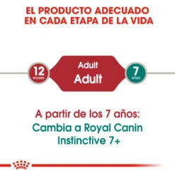 ROYAL CANIN Pack 12 Feline Instinctive Húmedo -Animalear Ventas 113506 4 5