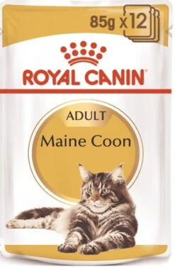 ROYAL CANIN Pack 12 Maine Coon