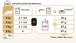 ROYAL CANIN Pack 12 Maine Coon -Animalear Ventas 127916 maine coon wet tabla racionamiento 4