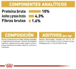 ROYAL CANIN Pack 12 Maine Coon -Animalear Ventas 127916 rc fbn wet mainecoon cv5 6