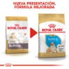 ROYAL CANIN Bulldog Puppy Pienso Para Cachorro De Raza