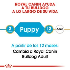 ROYAL CANIN Bulldog Puppy Pienso Para Cachorro De Raza -Animalear Ventas 139 rc bhn puppybulldog cm eretailkit 1 es es 5