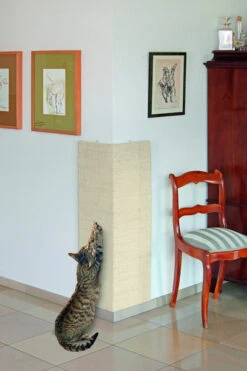 Trixie Rascador De Pared Sisal Para Gatos Beige -Animalear Ventas 144435 1