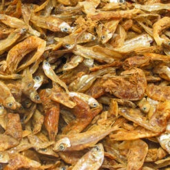 JBL Energil -Animalear Ventas 14986 7002 3