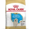 ROYAL CANIN Golden Retriever Puppy Pienso Para Cachorro De Raza