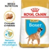 ROYAL CANIN Boxer Puppy Pienso Para Cachorro De Raza -Animalear Ventas 156 rc bhn puppyboxer mv eretailkit es es 2