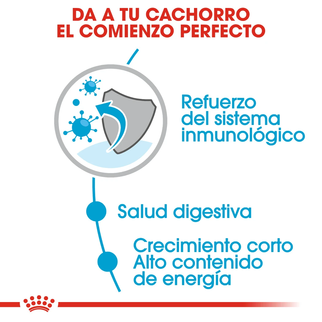 ROYAL CANIN Pack 10 Medium Puppy 6 ROYAL CANIN Pack 10 Medium Puppy - Imagen 4