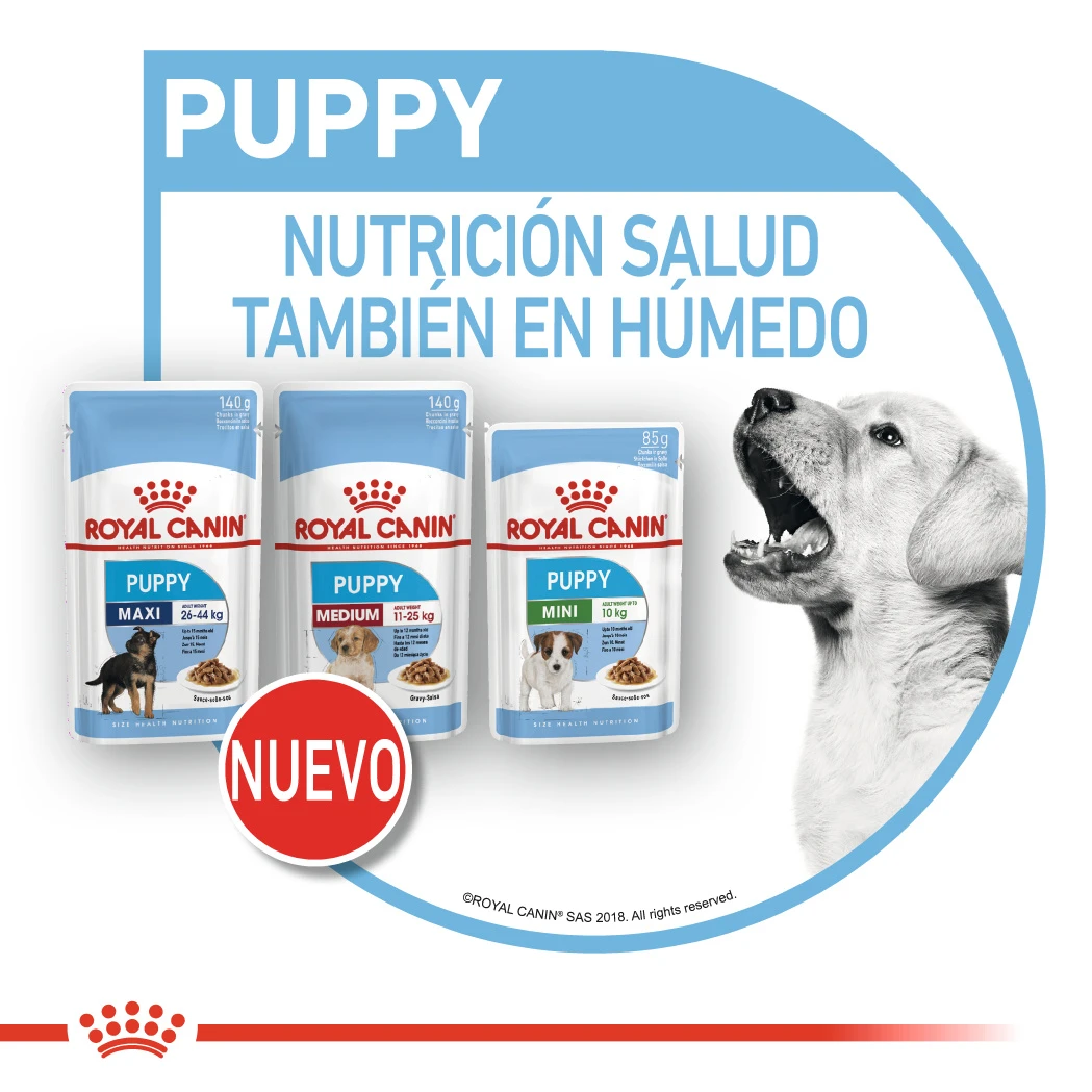 ROYAL CANIN Pack 10 Medium Puppy 11 ROYAL CANIN Pack 10 Medium Puppy - Imagen 9