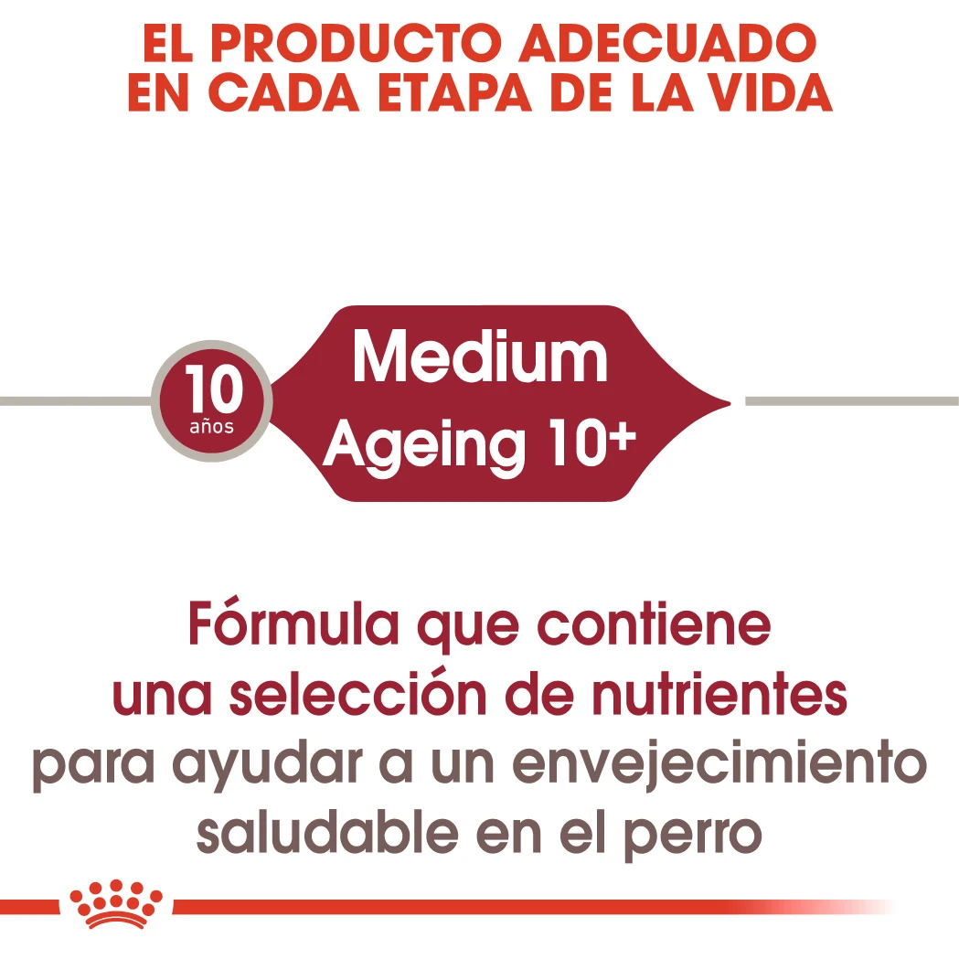 ROYAL CANIN Pack 10 Medium Ageing 5 ROYAL CANIN Pack 10 Medium Ageing - Imagen 3