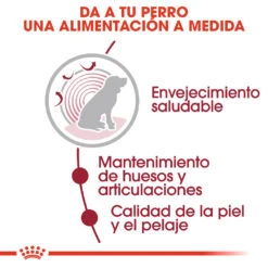 ROYAL CANIN Pack 10 Medium Ageing 15 ROYAL CANIN Pack 10 Medium Ageing -Animalear Ventas 161958 4 3