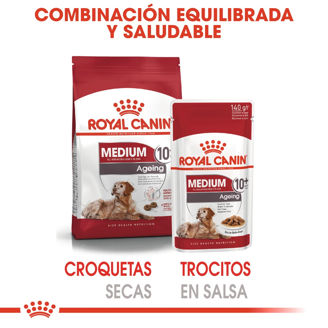 ROYAL CANIN Pack 10 Medium Ageing 8 ROYAL CANIN Pack 10 Medium Ageing - Imagen 6