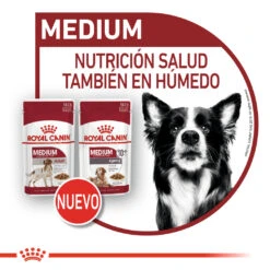 ROYAL CANIN Pack 10 Medium Ageing 20 ROYAL CANIN Pack 10 Medium Ageing -Animalear Ventas 161958 9 8