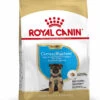 ROYAL CANIN German Shepherd Puppy Pienso Para Cachorro Pastor Alemán -Animalear Ventas 167 pu german packshot bhn18 1