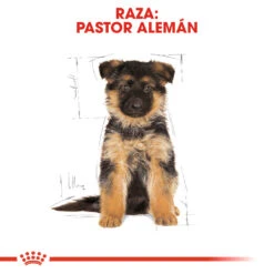 ROYAL CANIN German Shepherd Puppy Pienso Para Cachorro Pastor Alemán -Animalear Ventas 167 rc bhn puppygs cm eretailkit 4 es es 6