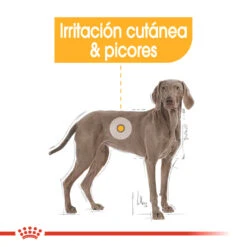 ROYAL CANIN Maxi Dermacomfort Pienso Para Perro Adulto Grande Con Piel Sensible -Animalear Ventas 180278 rc ccn dermamax cv eretailkit 2 es es 3
