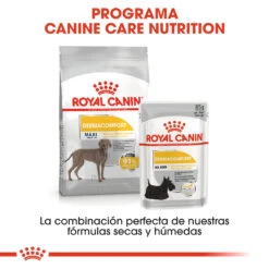 ROYAL CANIN Maxi Dermacomfort Pienso Para Perro Adulto Grande Con Piel Sensible -Animalear Ventas 180278 rc ccn dermamax cv eretailkit 6 es es 6