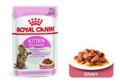 ROYAL CANIN Pack 12 Kitten Sterilised Salsa -Animalear Ventas 181444 gravy 6