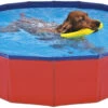Nayeco Piscina Para Perros -Animalear Ventas 190705 8427458021579 main 1 1