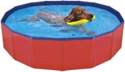 Nayeco Piscina Para Perros