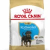 ROYAL CANIN Rottweiler Puppy Pienso Para Cachorro De Raza 1 ROYAL CANIN Rottweiler Puppy Pienso Para Cachorro De Raza -Animalear Ventas 191 pu rottweiler packshot bhn18 1
