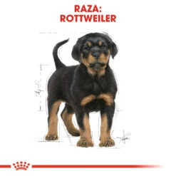 ROYAL CANIN Rottweiler Puppy Pienso Para Cachorro De Raza -Animalear Ventas 191 rc bhn puppyrottweiler cm eretailkit 4 es es 6