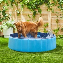 Trixie Piscina Para Perros Azul -Animalear Ventas 193510 MAIN AC SS600 V1613601708 62a7519b549d8