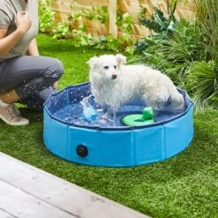 Trixie Piscina Para Perros Azul
