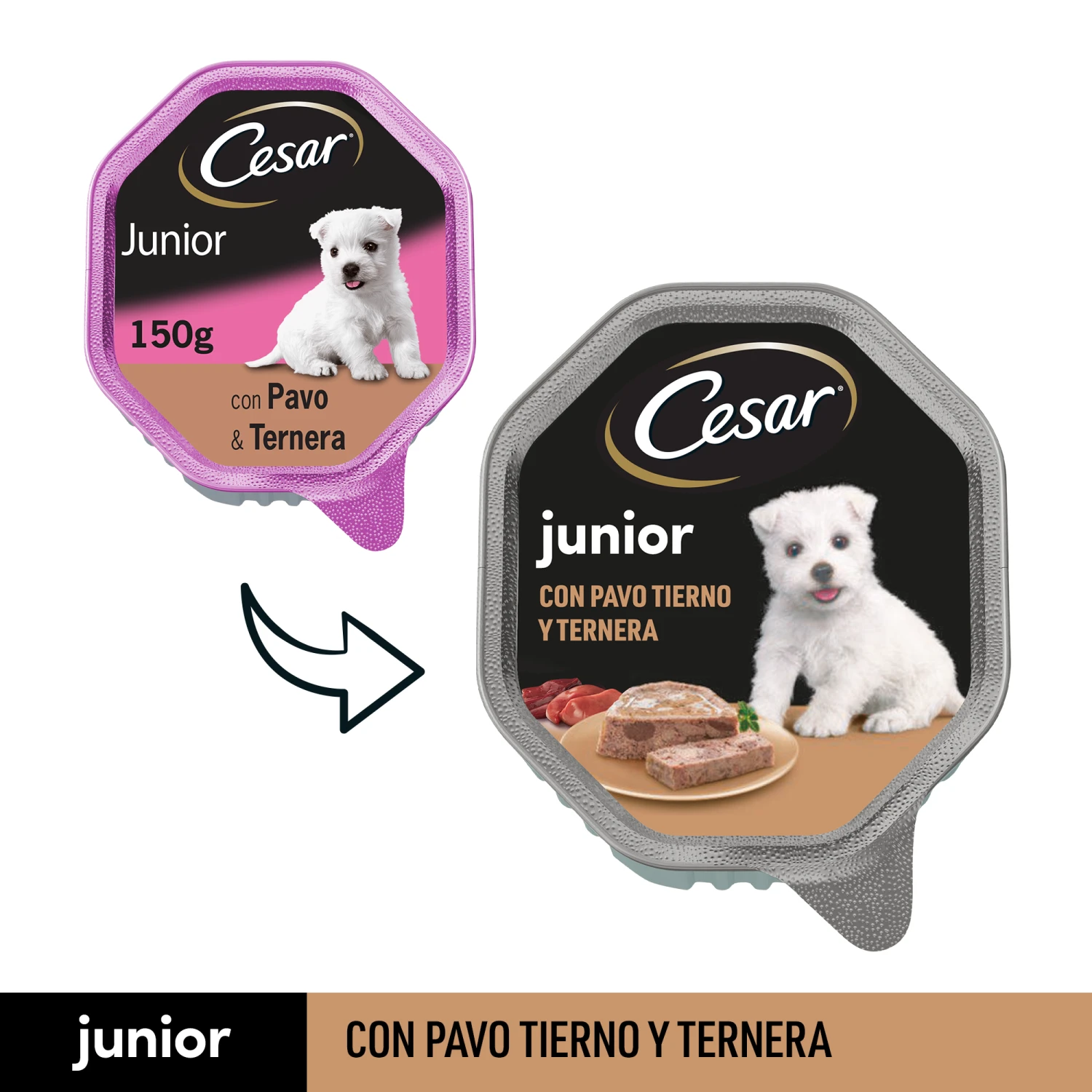 Pack 14 Comida Húmeda Para Cachorros Sabor Pavo Y Ternera Tarrina 5 Pack 14 Comida Húmeda Para Cachorros Sabor Pavo Y Ternera Tarrina - Imagen 3