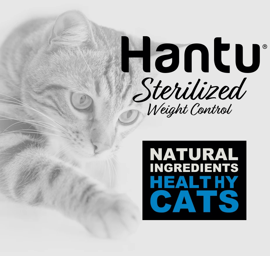 Adult Sterilised De Salmón 8 Adult Sterilised De Salmón - Imagen 6