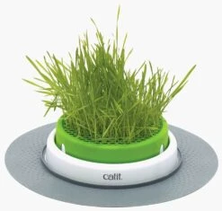 Catit Senses Jardin De Grama