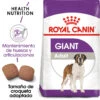 ROYAL CANIN Giant Adult Pienso Para Perro Adulto De Razas Tamaño Gigante -Animalear Ventas 25 25 1 0 2