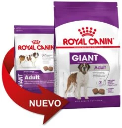 ROYAL CANIN Giant Adult Pienso Para Perro Adulto De Razas Tamaño Gigante 8 ROYAL CANIN Giant Adult Pienso Para Perro Adulto De Razas Tamaño Gigante -Animalear Ventas 25 gigant adult 0