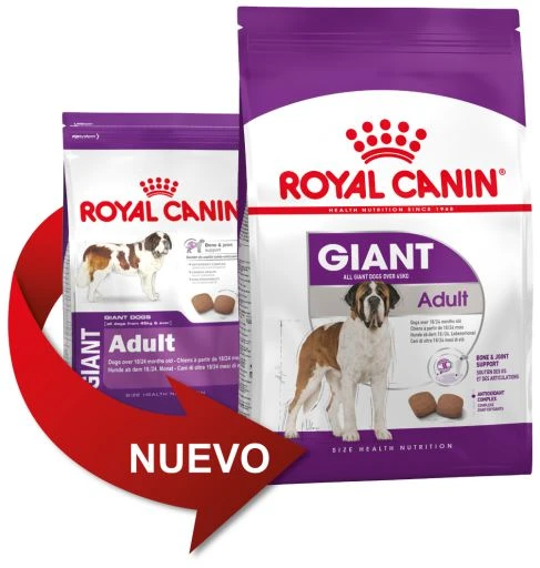 ROYAL CANIN Giant Adult Pienso Para Perro Adulto De Razas Tamaño Gigante 5 ROYAL CANIN Giant Adult Pienso Para Perro Adulto De Razas Tamaño Gigante - Imagen 3