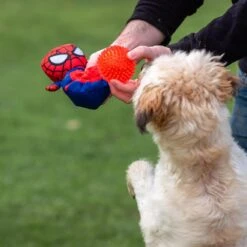 Peluche Para Perro Pelota Spiderman 13 Peluche Para Perro Pelota Spiderman -Animalear Ventas 2800000707 5
