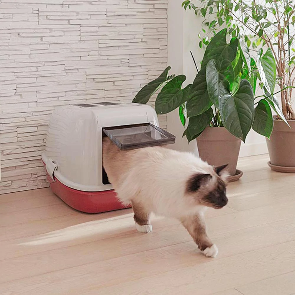 FERPLAST Bandeja Sanitaria Cedazo Magix 6 FERPLAST Bandeja Sanitaria Cedazo Magix - Imagen 4