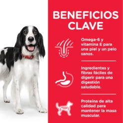 Hill's Canine Adult (Atún Y Arroz) -Animalear Ventas 318 52742926902 4 3