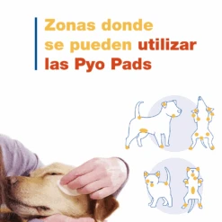 Douxo Pyo Pads Discos De Algodón Para Perros Y Gatos 13 Douxo Pyo Pads Discos De Algodón Para Perros Y Gatos -Animalear Ventas 3411113021658 6 DOUXO S3 PYO PADS donde Aplicar 63bd37228bd28