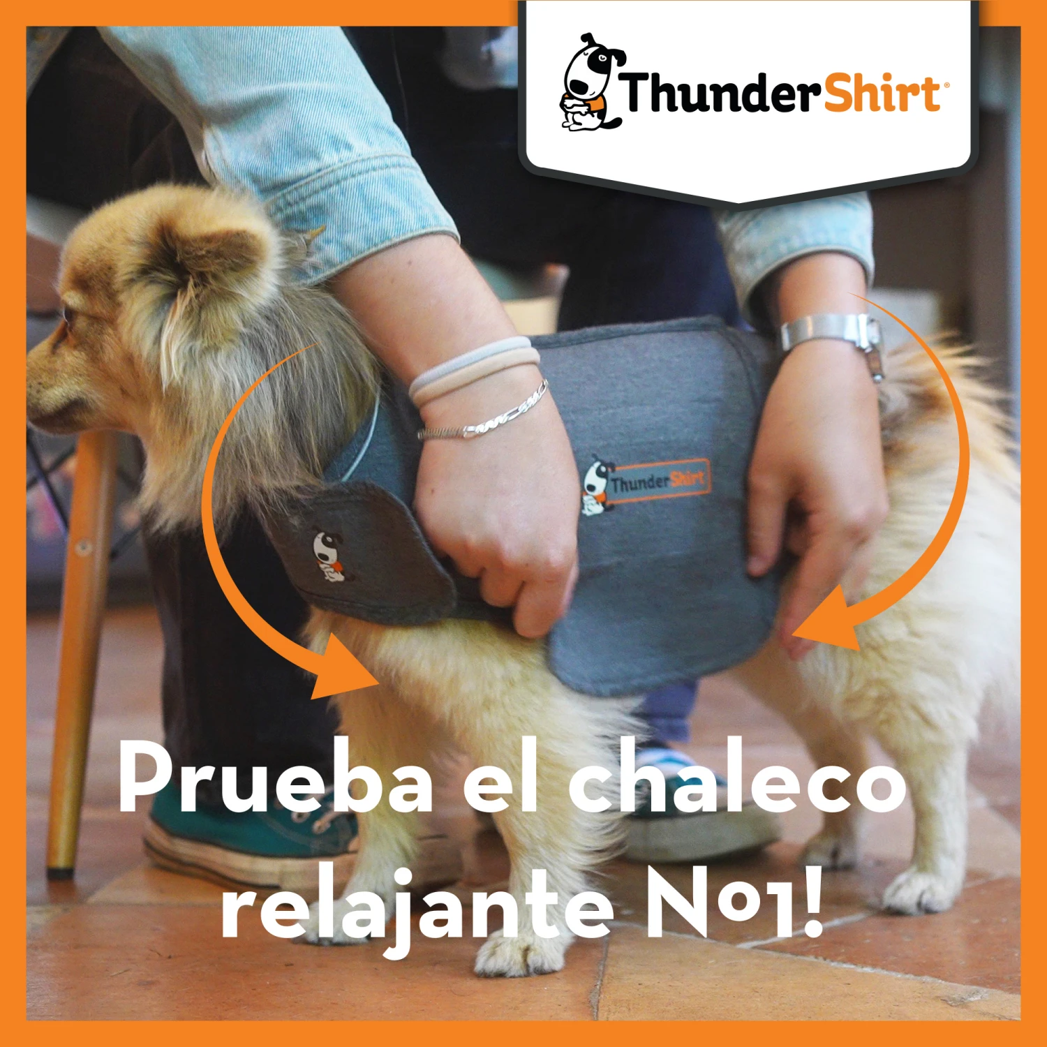 Chaleco Antiestrés Para Perro 9 Chaleco Antiestrés Para Perro - Imagen 7