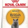 ROYAL CANIN British Shorthair Pienso Para Gato Adulto De Raza -Animalear Ventas 3468 british shorthair adult 9