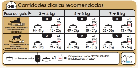 ROYAL CANIN British Shorthair Pienso Para Gato Adulto De Raza 12 ROYAL CANIN British Shorthair Pienso Para Gato Adulto De Raza - Imagen 10
