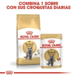 ROYAL CANIN British Shorthair Pienso Para Gato Adulto De Raza 27 ROYAL CANIN British Shorthair Pienso Para Gato Adulto De Raza -Animalear Ventas 3468 rc fbn britishsh cv3 6