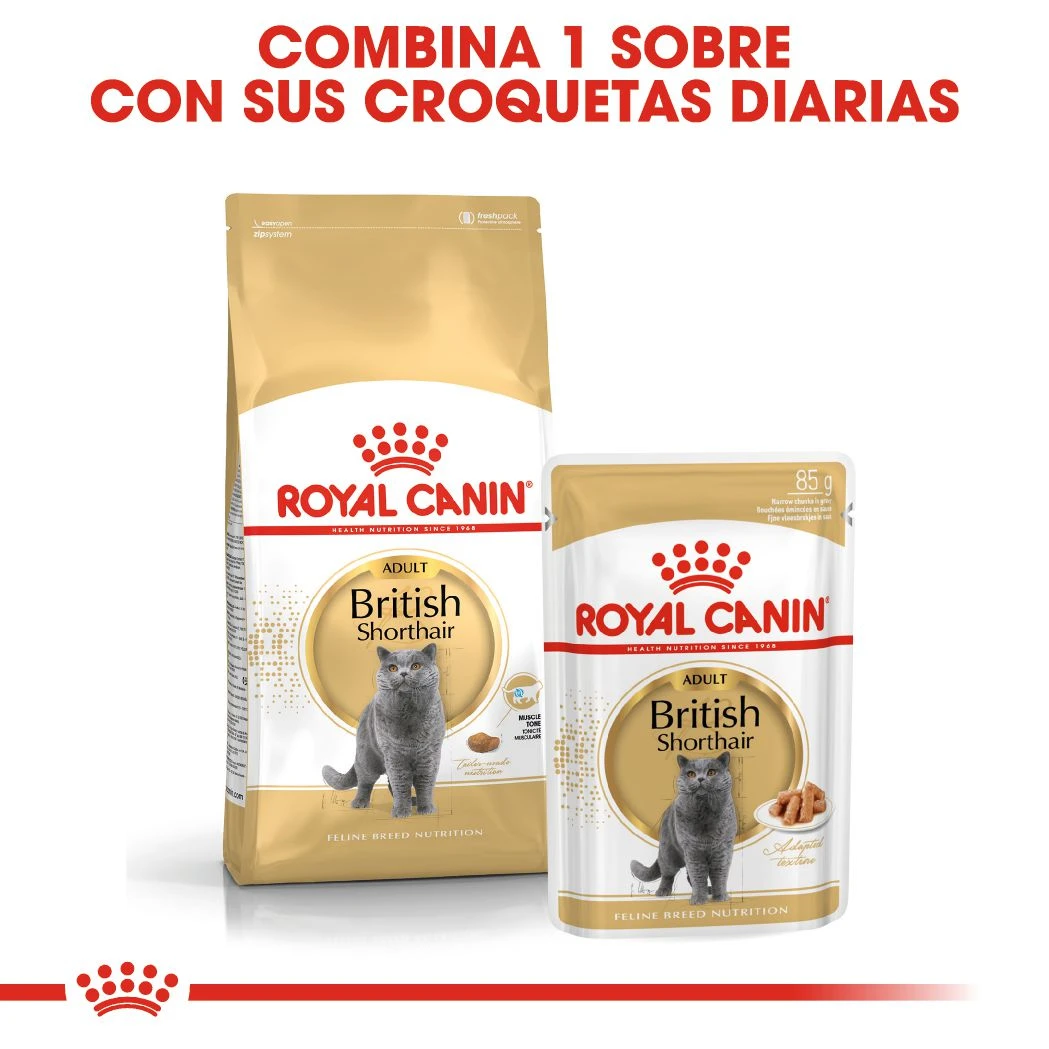 ROYAL CANIN British Shorthair Pienso Para Gato Adulto De Raza 14 ROYAL CANIN British Shorthair Pienso Para Gato Adulto De Raza - Imagen 12